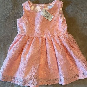 Little girl’s 12-18mo The Children’s Place beautiful pink lace dress / NWT